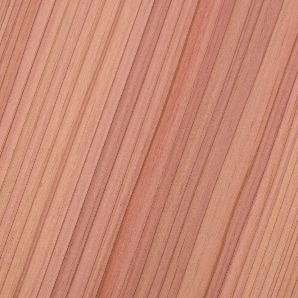 Cedar